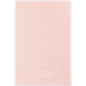 Papel Milimetrado A4 63g 10 Folhas Jandaia