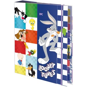 Fichário Universitário Looney Tunes 48fls DAC
