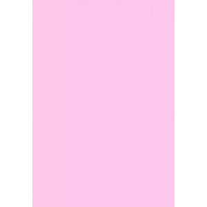Papel Cartolina 150g 50x66cm - Rosa c/100
