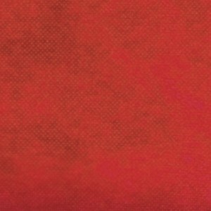 TNT Liso 40g - Vermelho (1,40m x 50m)