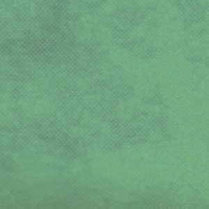 TNT Liso 40g - Verde Claro (1,40m x 50m)